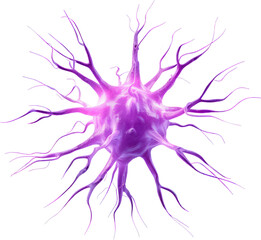 Obraz premium A vibrant purple cell with numerous extending filaments, representing a complex biological structure.
