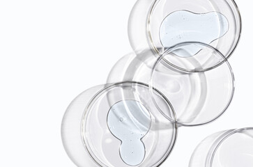 Skin serum or body gel in a Petri dish. Cosmetic product