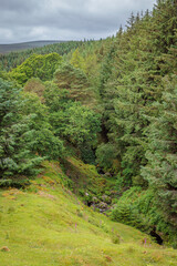 Wicklow, Ireland - June 30 2024 