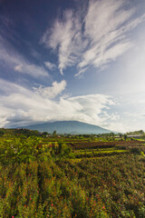 Indonesian Scenery View with mountains And Sunrise Sky In The Morning In A Small Village Rice Field.