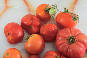 Top View of Wrinkled and Aging Tomatoes. Close-up top view of wrinkled, overripe, and aging...