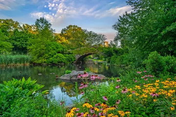 Gapstow Bridge in Central Park, summer morning