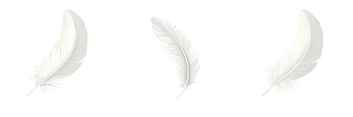 Obraz premium set of a white feather isolated on a transparent backgroundwhite