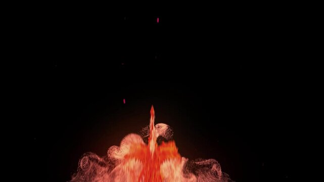 Phoenix Flame Intro Animation. Logo Intro Flame. Phoenix Fire Logo HD