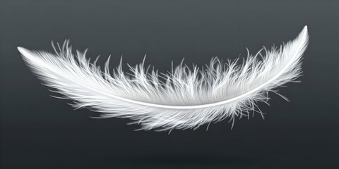 Obraz premium White Feather Arcing on Dark Background