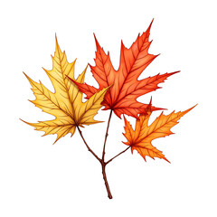 Fototapeta premium Watercolor Maple Leaves Design