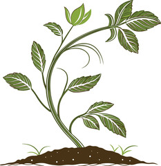 A Beautiful Green Seedling vector on white background, Green Seedling