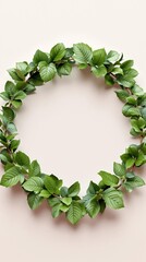 Fototapeta premium Delicate rose flower with lush green leaves forming a circular frame around it, blooming, garden, botanical, floral arrangement, fragrance