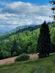 Przepiękny krajobraz Beskidu Śląskiego. Polska