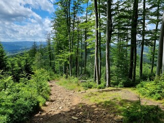 Przepiękny krajobraz Beskidu Śląskiego. Polska