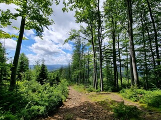 Przepiękny krajobraz Beskidu Śląskiego. Polska