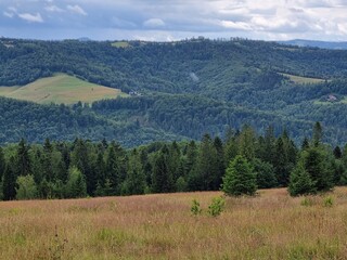 Przepiękny krajobraz Beskidu Śląskiego. Polska
