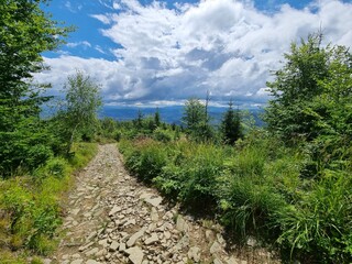 Przepiękny krajobraz Beskidu Śląskiego. Polska