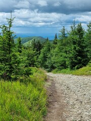Przepiękny krajobraz Beskidu Śląskiego. Polska