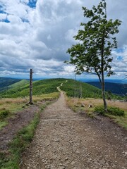 Przepiękny krajobraz Beskidu Śląskiego. Polska