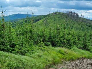 Przepiękny krajobraz Beskidu Śląskiego. Polska