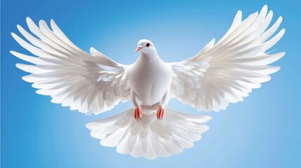 Fototapeta premium white dove soaring against a blue background.