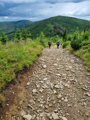 Przepiękny krajobraz Beskidu Śląskiego. Polska