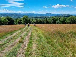Przepiękny krajobraz Beskidu Śląskiego. Polska