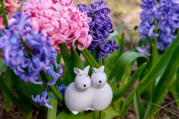 zajaczek, kwiat, fiolet, jary, charakter, kwiat, jardin, lavende, roślin, błękit, szafirek, kwiat, lato, bez, hiacynt, kwiat, kwiatowy, szafirek groniasty, , beuty, feuille, busz, flora, pora roku, od