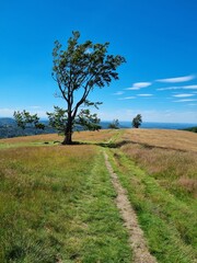 Przepiękny krajobraz Beskidu Śląskiego. Polska