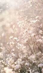 Naklejka premium Delicate white wildflowers bathed in soft, golden light.