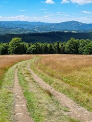 Przepiękny krajobraz Beskidu Śląskiego. Polska