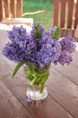 hiacynty, kwiat, fiolet, jary, charakter, kwiat, jardin, lavende, roślin, błękit, szafirek, kwiat, lato, bez, hiacynt, kwiat, kwiatowy, szafirek groniasty, , beuty, feuille, busz, flora, pora roku, od