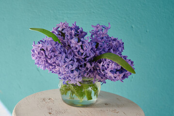 hiacynty, kwiat, fiolet, jary, charakter, kwiat, jardin, lavende, roślin, błękit, szafirek, kwiat, lato, bez, hiacynt, kwiat, kwiatowy, szafirek groniasty, , beuty, feuille, busz, flora, bukiet