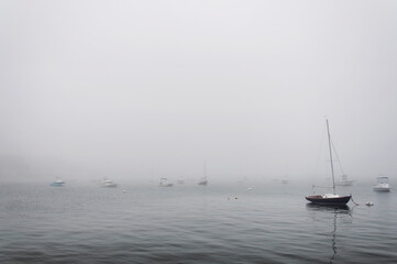 Fototapeta premium boats moored in a harbor in Jamestown Rhode island