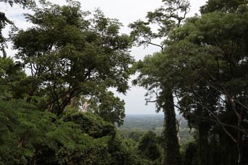 Obraz premium Chiapas natural landscape, Mexico's natural scenery