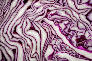 Obraz premium Purple cabbage. Full frame cabbage cut. Cabbage texture