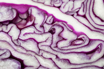 Obraz premium Purple cabbage. Full frame cabbage cut. Cabbage texture. Macro photo