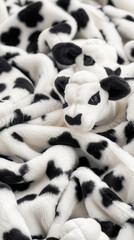 Obraz premium Cow Texture