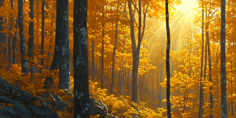 Fototapeta premium Golden Autumn Forest, Sunlit Trees and Vibrant Fall Foliage in a Picturesque Woodland