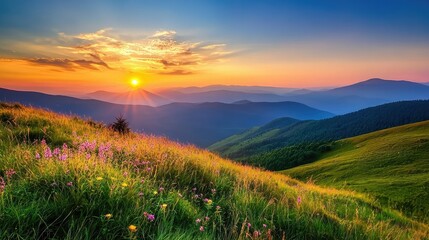 Obraz premium Serene Sunrise Over Rolling Hills: A Picturesque Hiking Trail Illuminated by First Light in a Beautiful Natural Landscape with Vibrant Flora