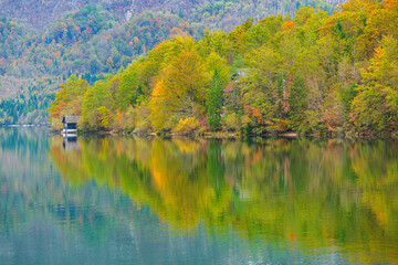 Lake Bohinj autumn version