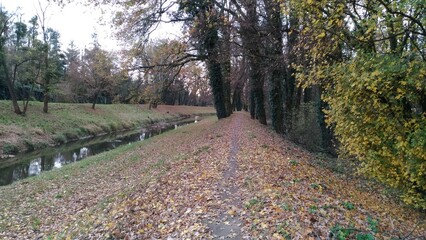Naklejka premium path in the park