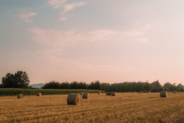Polish field © Ket