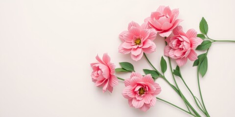 A delicate arrangement of pink flowers with soft petals and green stems on a plain white background.
