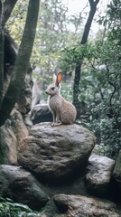 Hare sitting on a large rock surrounded by lush greenery in a forest setting, ideal for nature-themed posters, wildlife illustrations, and educational content.

