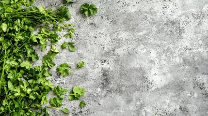 Naklejka premium Minimalist Background Featuring Scattered Green Herbs on a Textured Surface, Perfect for Culinary or Natural Themes in Design Projects