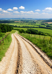 Fototapeta premium road in the field