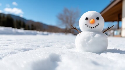 A small, smiling snowman with stick arms stands on a snowy field under a sunlit blue sky, embodying the cheerful spirit of wintertime joy and simplicity.