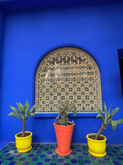 3 tropical potted plants against a blue exterior wall with a decorative window in colorful pots of yellow and orange