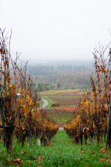 autumn in the mountains