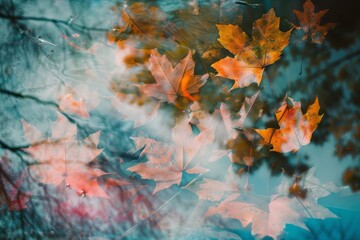 A beautiful image of autumn leaves floating on the water. The leaves are of different sizes and colors