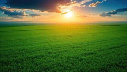 a green field with a bright sun shining through the clouds