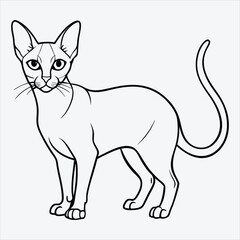 Obraz premium Abyssinian line art White background illustration Generative Ai