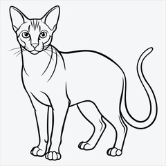 Fototapeta premium Abyssinian line art White background illustration Generative Ai